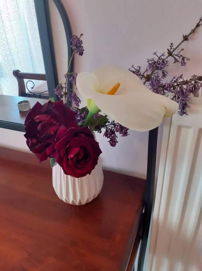 Old City Apartment Волос Екстериор снимка